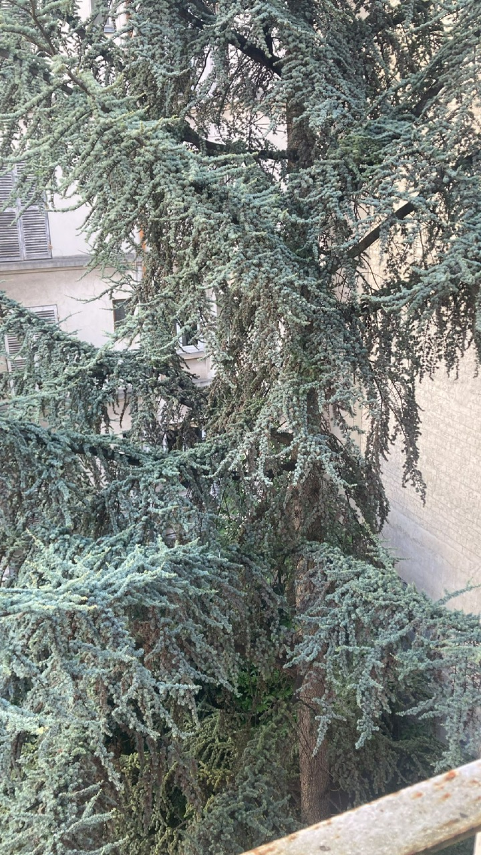 Image_, Appartement, Paris, ref :FSVAP170002342