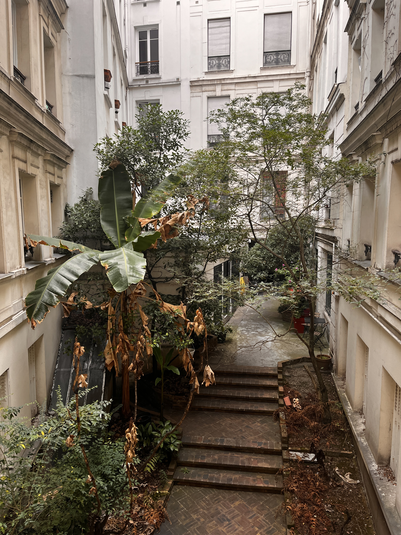Image_, Appartement, Paris, ref :MVVAP240002396