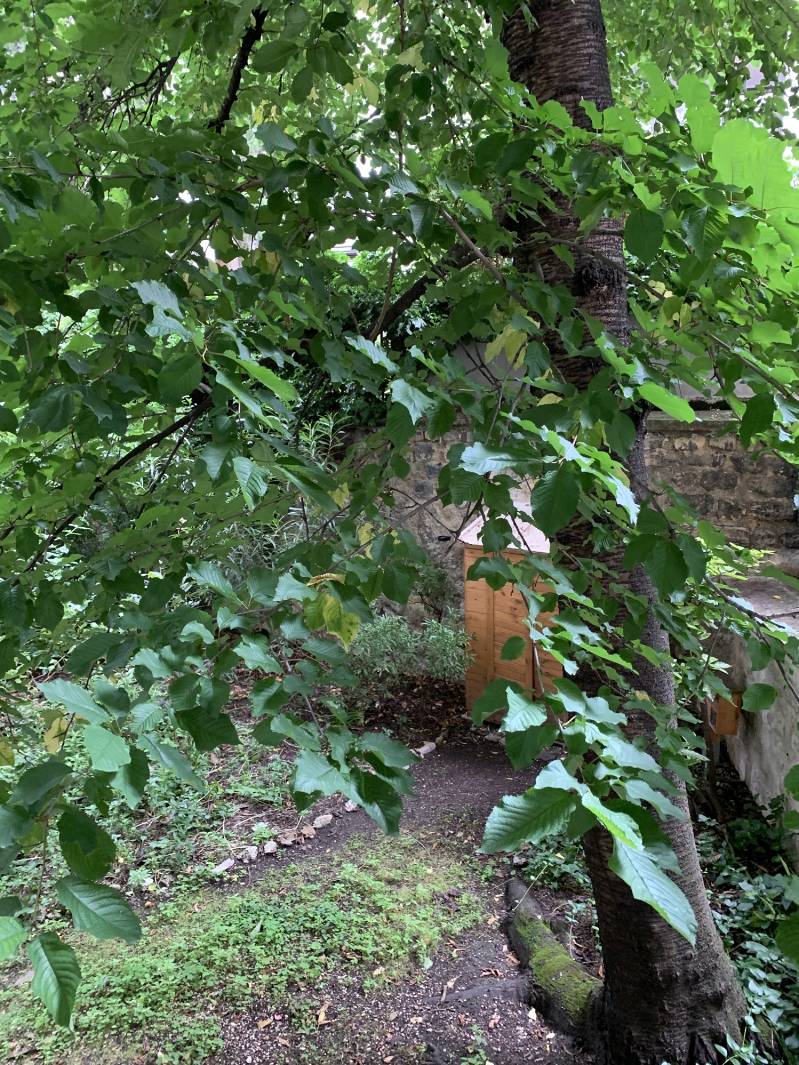 Image_, Appartement, Paris, ref :FSLAP170002091